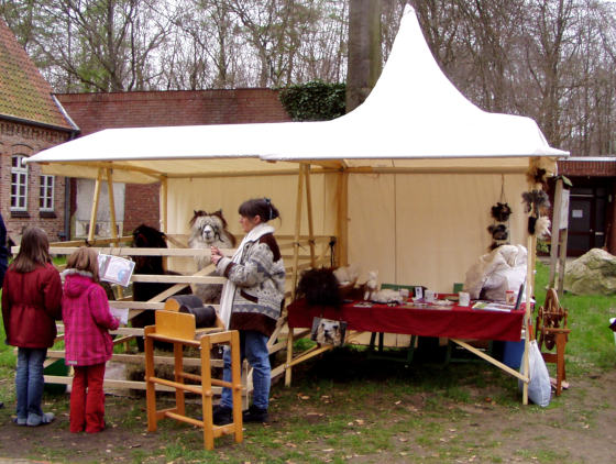 Marktstand 4m mit Lamas